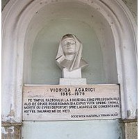 Виорика Агаричи